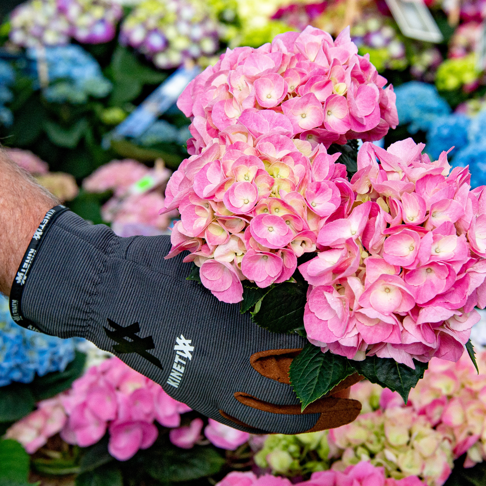 Kinetixx Spezielle Garten-Arbeitshandschuhe X-Planter Online Outlet