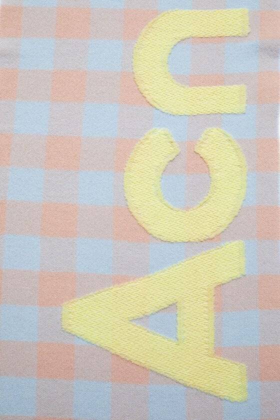 Acne Studios Karierter Schal mit Logo Super Sparpreis