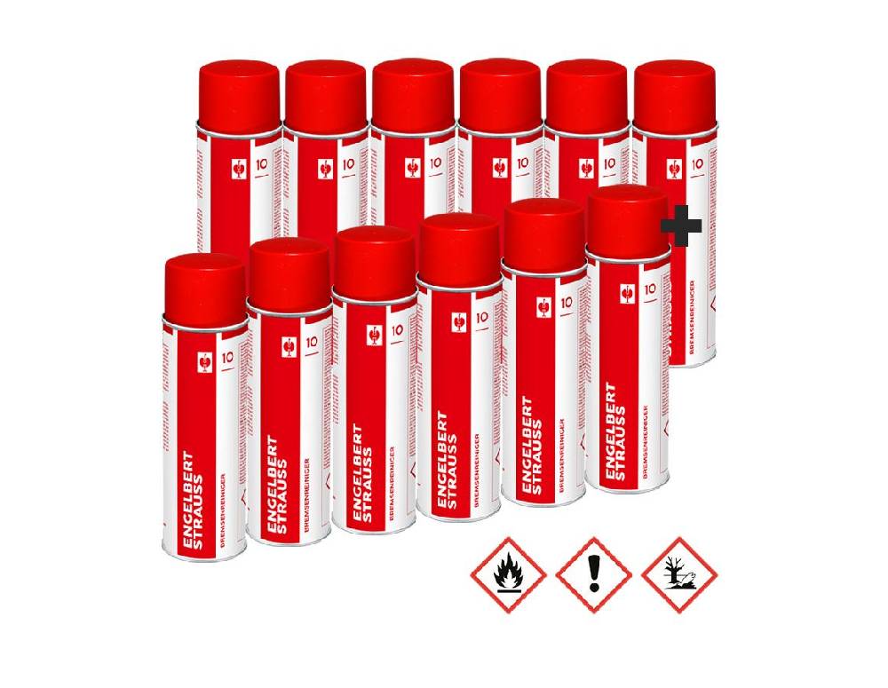 Strauss e.s. Bremsenreiniger 12er-Set Aktions-Set Großer Ausverkauf