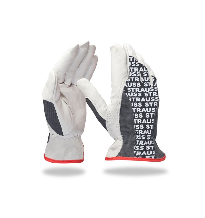 Strauss Nappaleder-Fahrer-Handschuhe Driver Profi Online Outlet