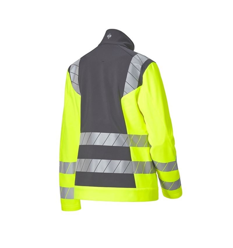 Strauss Warnschutz Softshelljacke e.s.motion 24/7, Damen