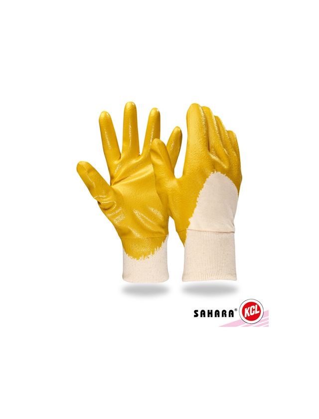 Strauss Nitril-Handschuhe Sahara Vierteljährliche Förderung